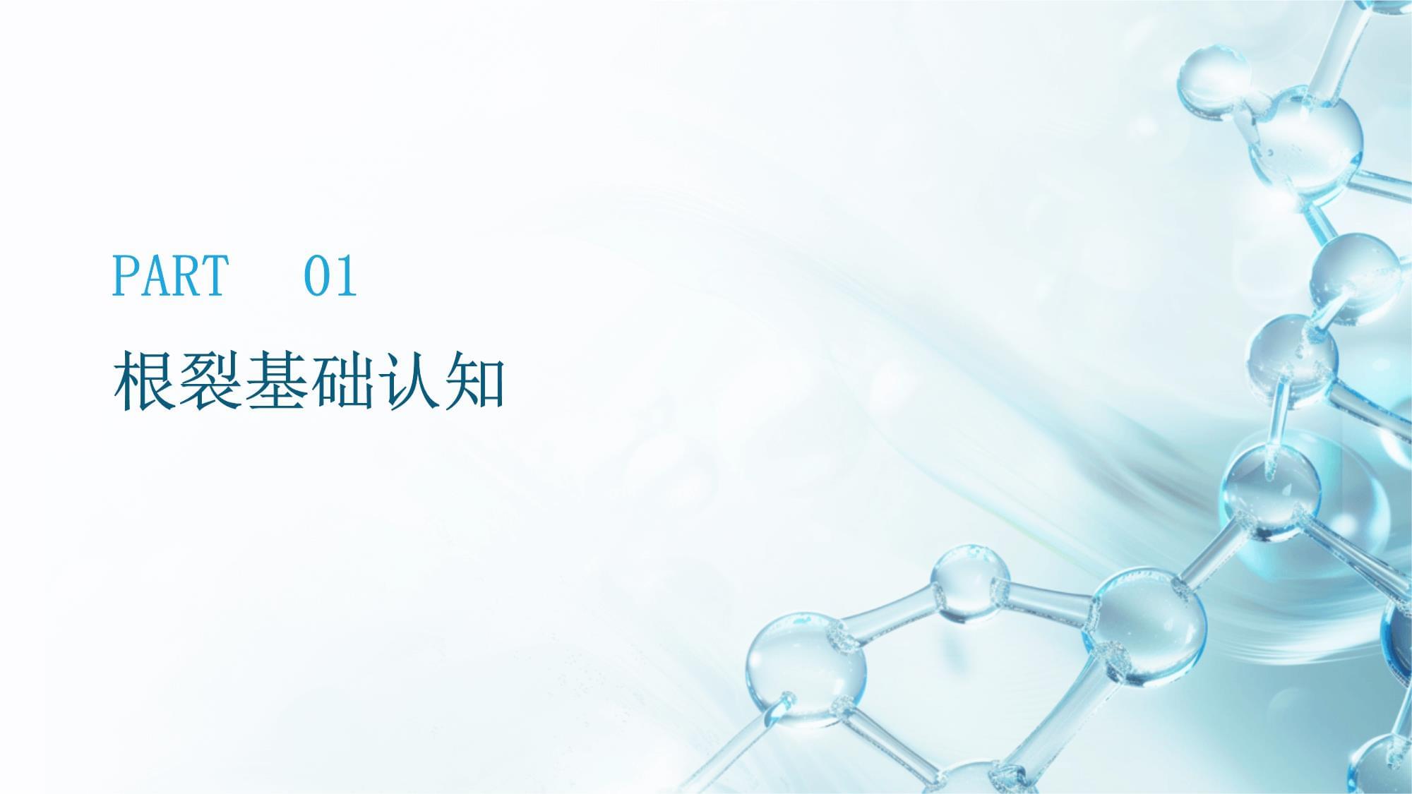 口腔牙齿根裂的临床诊疗体系构建与优化——提升口腔诊疗服务质量的关键路径