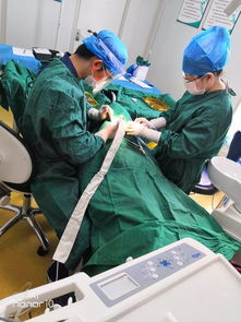 十年磨一剑 呼市至美口腔获国内外专家认可，引领口腔诊疗服务新标准